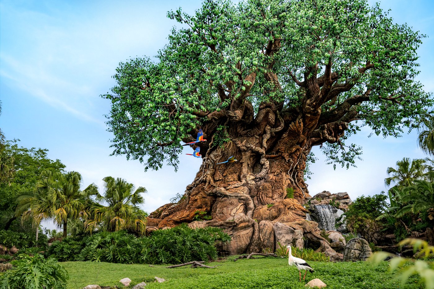 Animal Kingdom